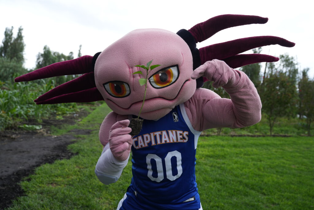 Dink Pate nuevo jugador de Capitanes CDMX